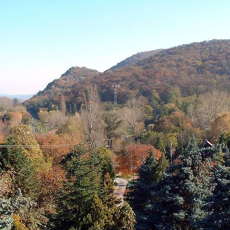 Vadregeny Panzio Bed & Breakfast Esztergom Eksteriør bilde
