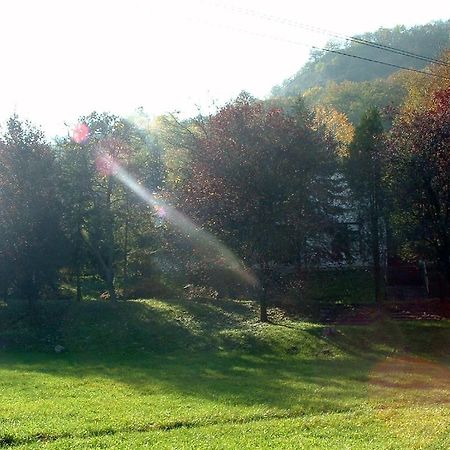 Vadregeny Panzio Bed & Breakfast Esztergom Eksteriør bilde
