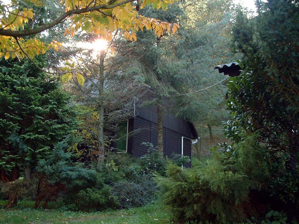 Vadregeny Panzio Bed & Breakfast Esztergom Rom bilde