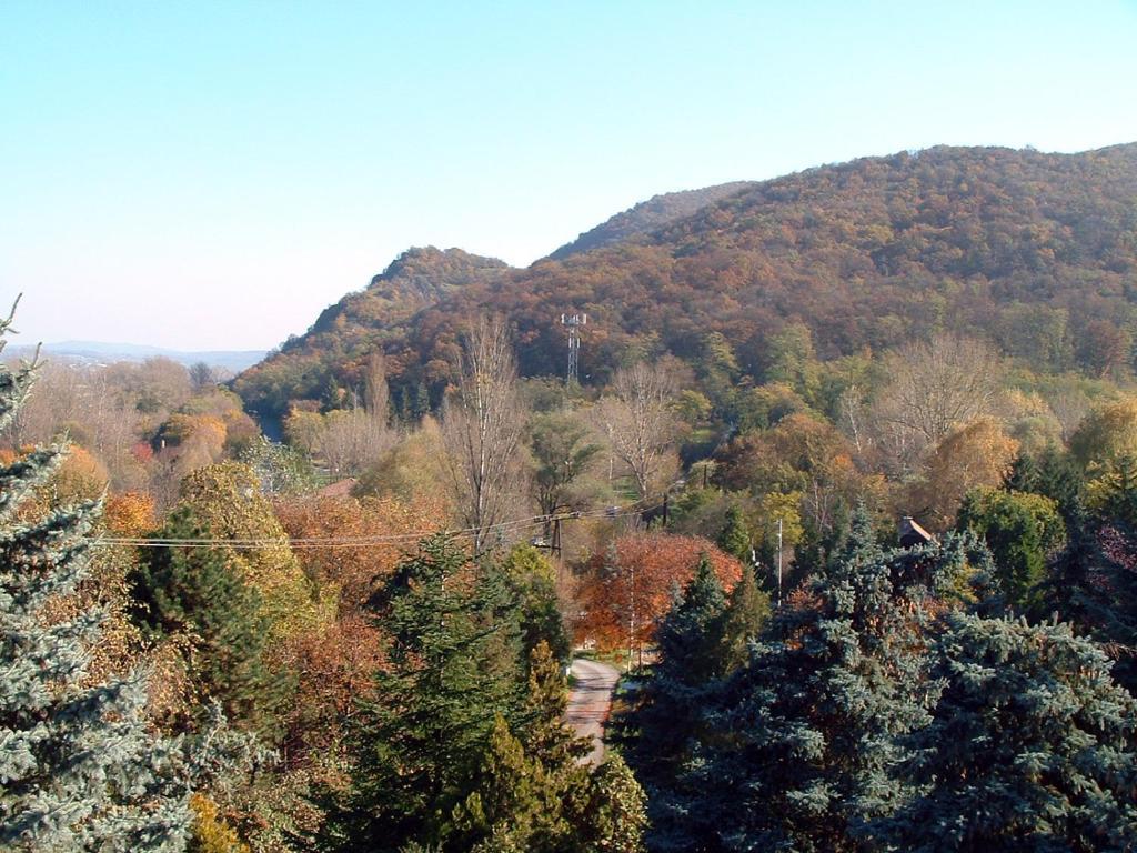 Vadregeny Panzio Bed & Breakfast Esztergom Eksteriør bilde
