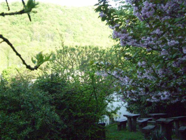 Vadregeny Panzio Bed & Breakfast Esztergom Eksteriør bilde